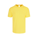 Men’s Heavy Weight Crew Neck Short Sleeve T-Shirt Neutral Colors · 100% Cotton C0300