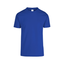 Men’s Heavy Weight Crew Neck Short Sleeve T-Shirt Vibrant Colors · 100% Cotton C0300